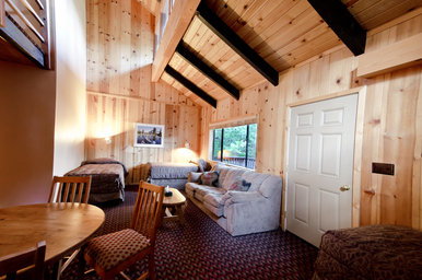 juniper cabin living room
