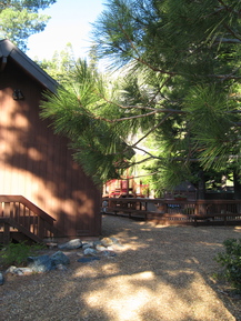sugar pine cabin