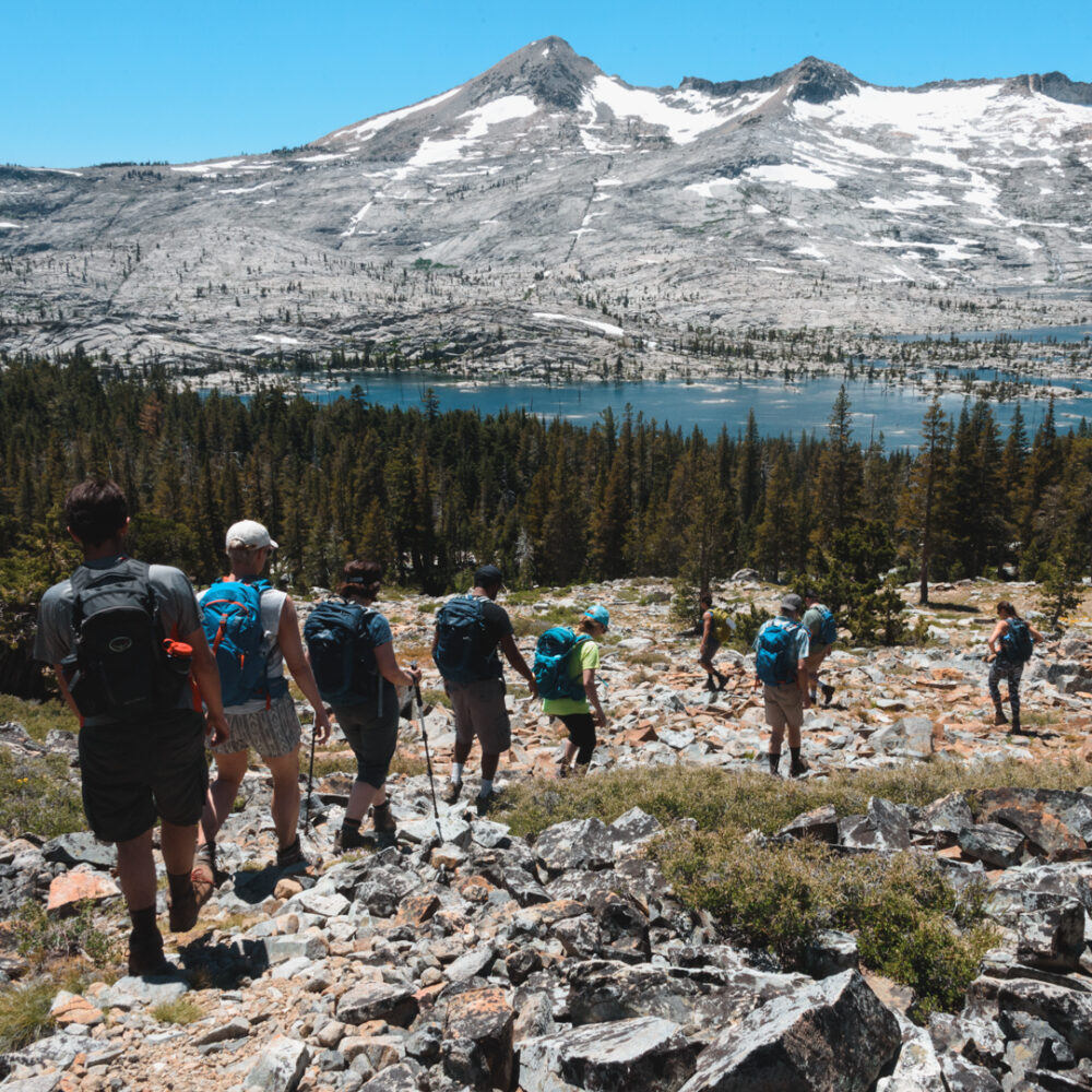 untitled-9172 2 untitled-9172 2